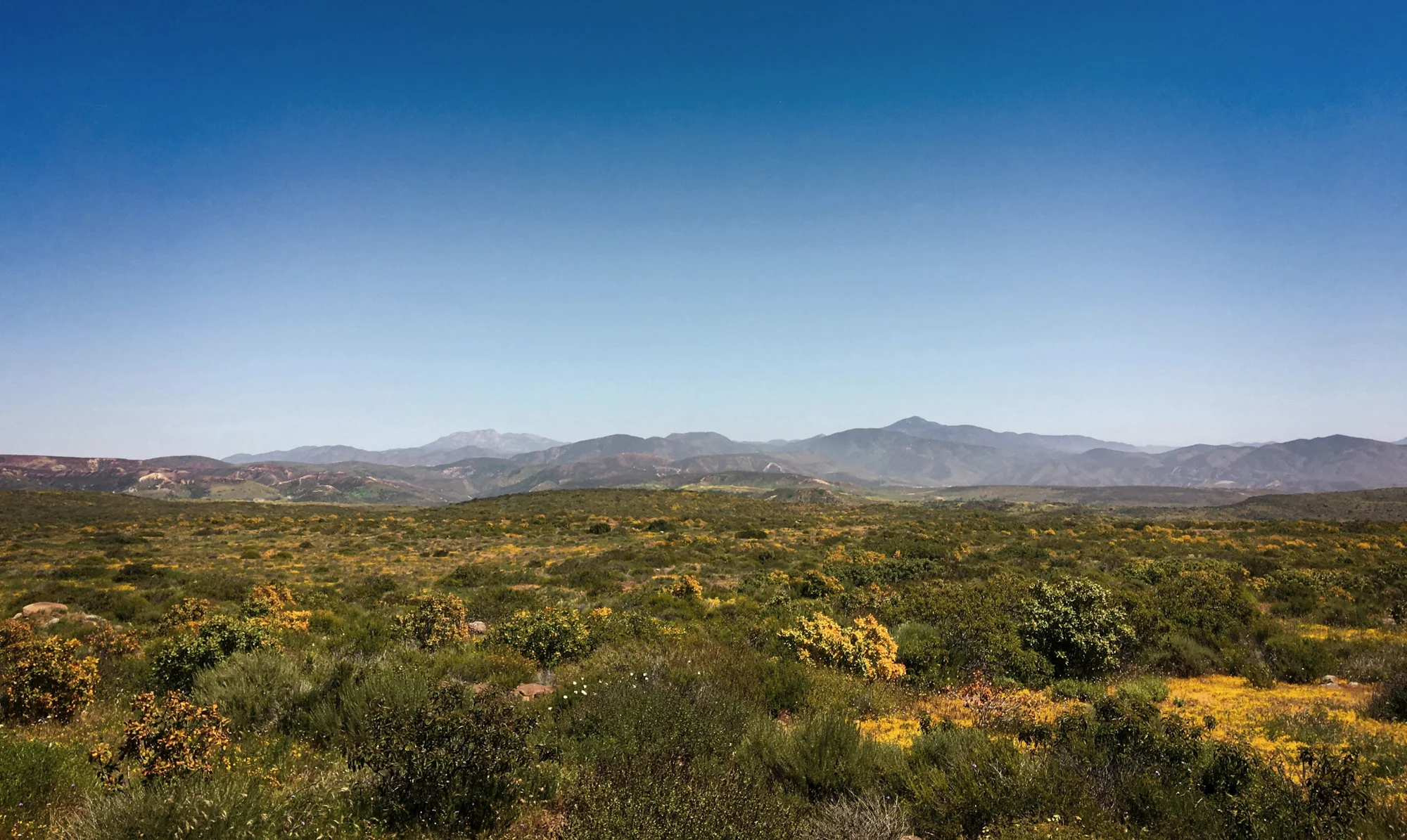 Arid grassland and distant mountains in northern Mexico